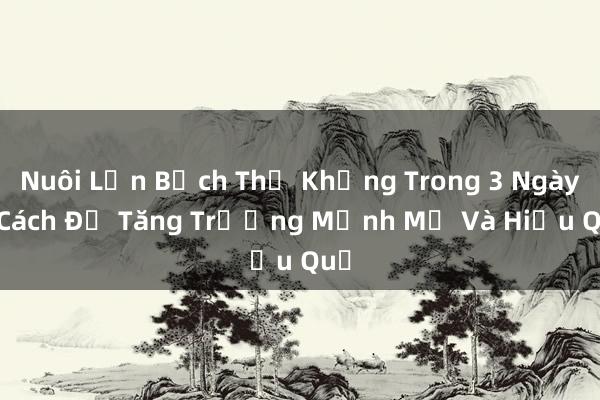 Nuôi Lợn Bạch Thử Khủng Trong 3 Ngày – Cách Để Tăng Trưởng Mạnh Mẽ Và Hiệu Quả