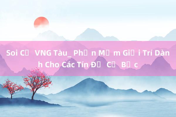 Soi Cư VNG Tàu_ Phần Mềm Giải Trí Dành Cho Các Tín Đồ Cờ Bạc