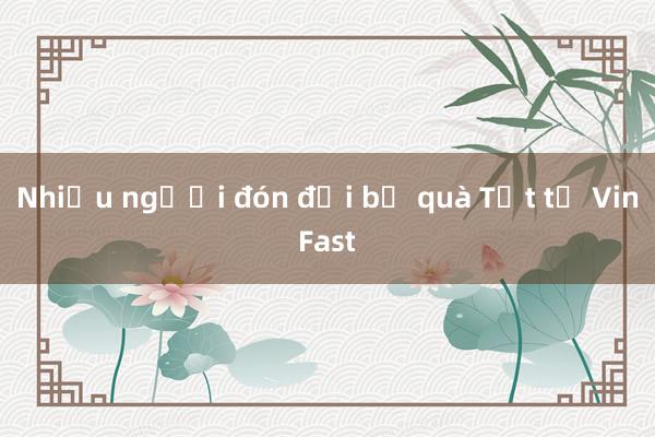 Nhiều người đón đợi bộ quà Tết từ VinFast