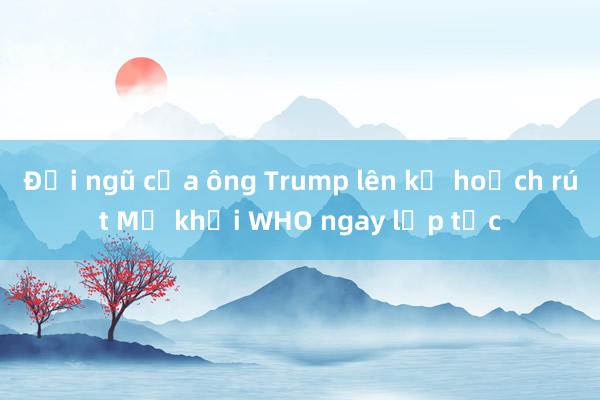 Đội ngũ của ông Trump lên kế hoạch rút Mỹ khỏi WHO ngay lập tức